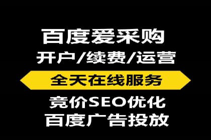 百度搜索推广实战经验：经典案例剖析